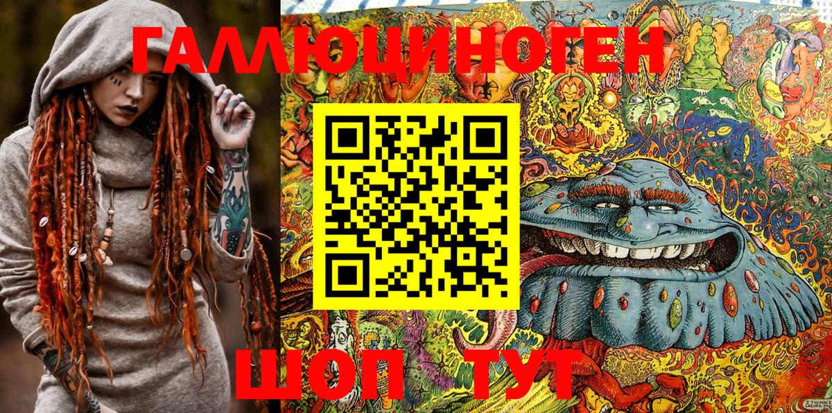 Псилоцибиновые грибы Psilocybe  Галлюциногенные грибы MAGIC MUSHROOMS  Вход с VPN  Камышлов 