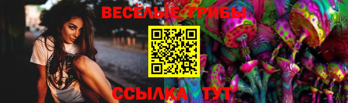 Галлюциногенные грибы Psilocybine cubensis Камышлов